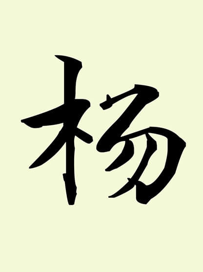 Yang Yang Chinese Symbol